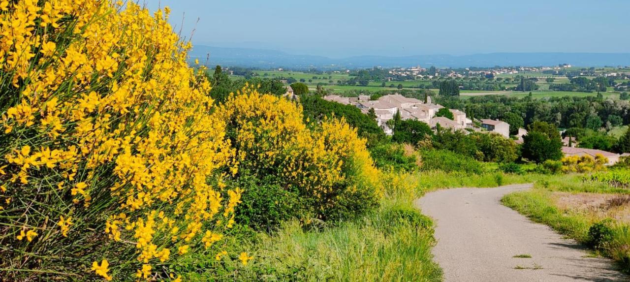 Maison De Village En Provence Avec Terrasse De 33M2 Saint-Roman-de-Malegarde 外观 照片